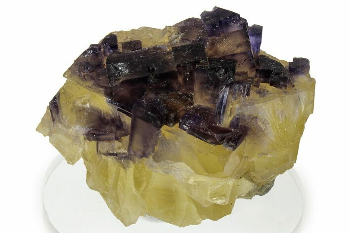 Yellow & Purple Fluorite Cluster - Cave-in-Rock, Illinois #322802
